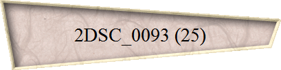 2DSC_0093 (25)