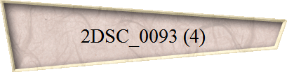 2DSC_0093 (4)