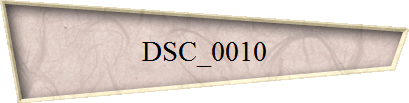 DSC_0010
