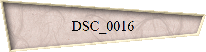 DSC_0016
