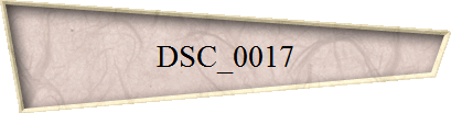 DSC_0017