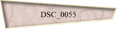 DSC_0055