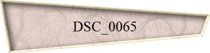 DSC_0065