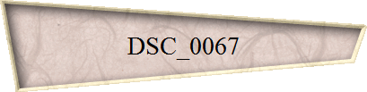 DSC_0067