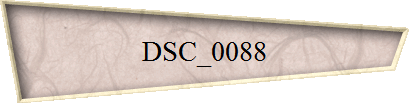 DSC_0088