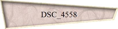 DSC_4558