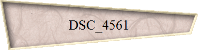 DSC_4561