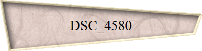 DSC_4580