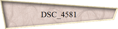 DSC_4581