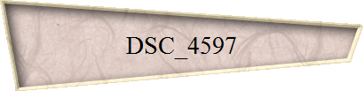 DSC_4597