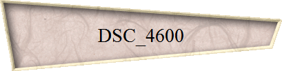 DSC_4600
