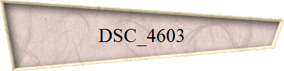 DSC_4603