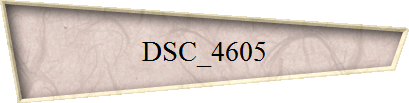 DSC_4605