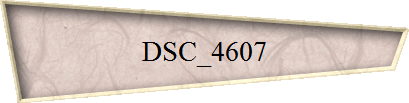 DSC_4607