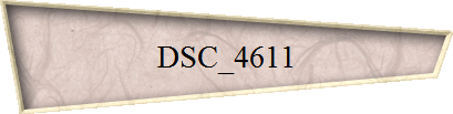 DSC_4611