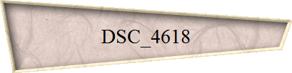 DSC_4618
