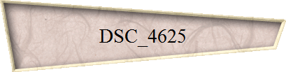 DSC_4625