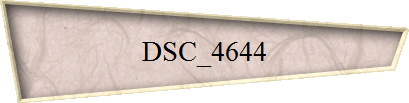 DSC_4644