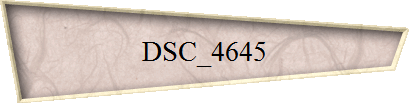 DSC_4645