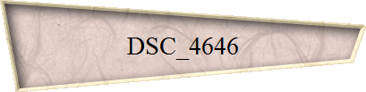 DSC_4646