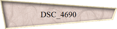 DSC_4690