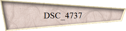 DSC_4737