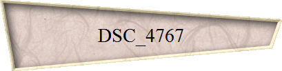 DSC_4767