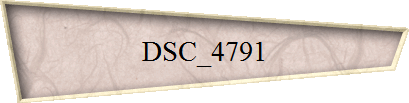 DSC_4791