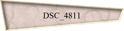 DSC_4811