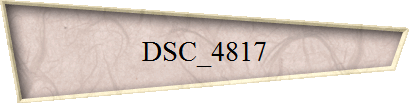 DSC_4817