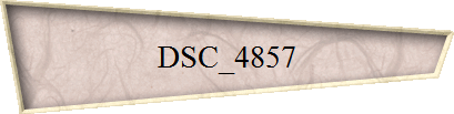 DSC_4857