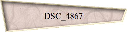 DSC_4867