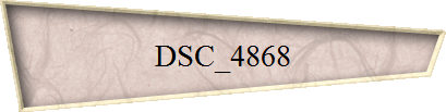 DSC_4868
