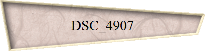 DSC_4907