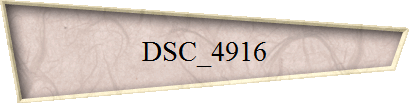 DSC_4916