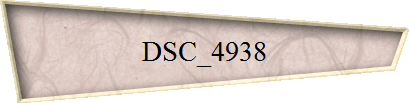 DSC_4938