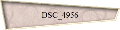 DSC_4956