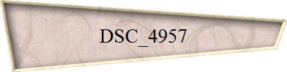 DSC_4957