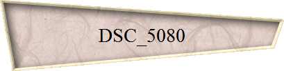 DSC_5080