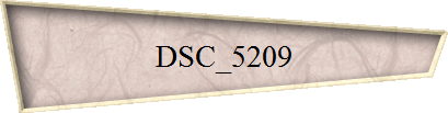 DSC_5209