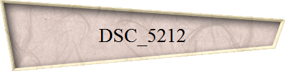 DSC_5212