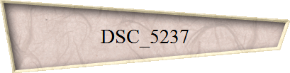 DSC_5237