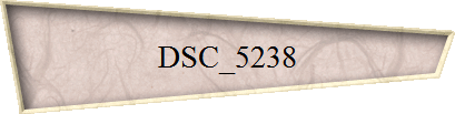 DSC_5238