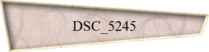 DSC_5245