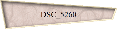 DSC_5260