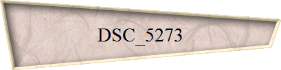 DSC_5273